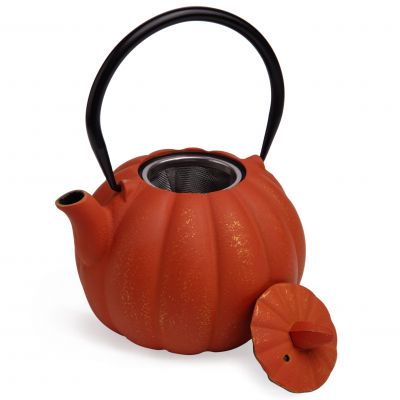 ЗАВАРОЧНЫЙ ЧАЙНИК ЧУГУННЫЙ С ЭМАЛИРОВАННЫМ ПОКРЫТИЕМ ВНУТРИ 900 МЛ-2