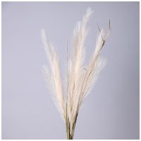 ЦВЕТОК ИСКУССТВЕННЫЙ ПОМПАСНАЯ ТРАВА, ЦВЕТ КРЕМОВЫЙ