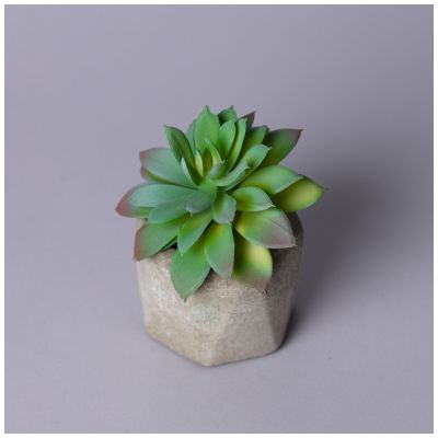 СУККУЛЕНТ ИСКУССТВЕННЫЙ В ГОРШКЕ 13*13СМ МАЛ.УП.=24ШТ-1