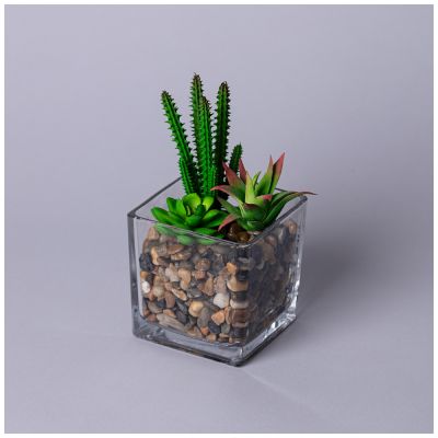 СУККУЛЕНТ ИСКУССТВЕННЫЙ В ПРОЗРАЧНОМ ГОРШКЕ 11*17СМ МАЛ.УП.=8ШТ-0