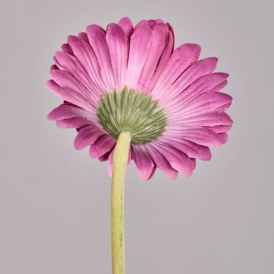 ЦВЕТОК ИСКУССТВЕННЫЙ 