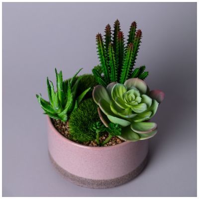 СУККУЛЕНТ ИСКУССТВЕННЫЙ В ГОРШКЕ 16*17СМ-1