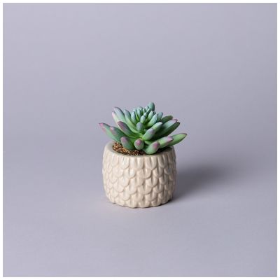 СУККУЛЕНТ ИСКУССТВЕННЫЙ В ГОРШКЕ 10*10,5СМ-0