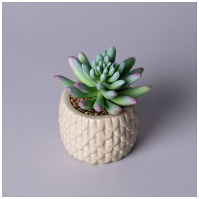 СУККУЛЕНТ ИСКУССТВЕННЫЙ В ГОРШКЕ 10*10,5СМ-1
