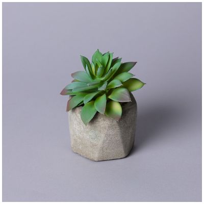 СУККУЛЕНТ ИСКУССТВЕННЫЙ В ГОРШКЕ 13*13СМ МАЛ.УП.=24ШТ-0