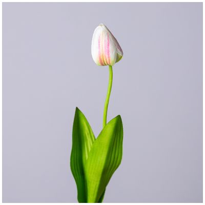 ЦВЕТОК ИСКУССТВЕННЫЙ ТЮЛЬПАН ДЛИНА=48СМ , ЦВЕТ КРЕМОВО-РОЗОВЫЙ МАЛ.УП.=60ШТ-0