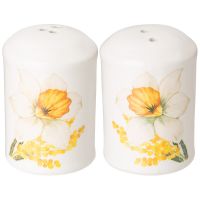 НАБОР ДЛЯ СПЕЦИЙ AGNESS 