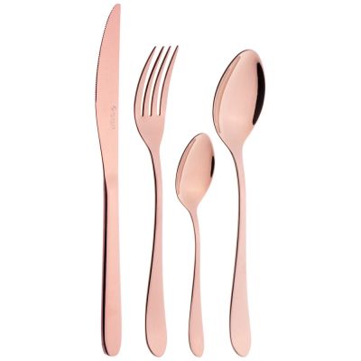 НАБОР СТОЛОВЫХ ПРИБОРОВ НА ПЛАСТИКОВОЙ ПОДСТАВКЕ, 24ПР-2