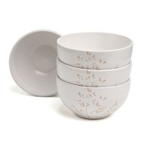 НАБОР САЛАТНИКОВ BRONCO 