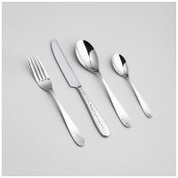 НАБОР СТОЛОВЫХ ПРИБОРОВ REGINA AGNESS 24 ПР., СТАЛЬ 18/10