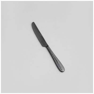 НАБОР СТОЛОВЫХ ПРИБОРОВ REGINA AGNESS 16 ПР., СТАЛЬ 18/10, ПВД ПОКРЫТИЕ, ЦВЕТ: ЧЕРНЫЙ-3