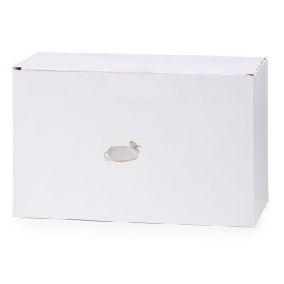 БЛЮДО СЕРВИРОВОЧНОЕ 27Х17Х9 СМ-7