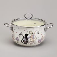 КАСТРЮЛЯ AGNESS ЭМАЛИРОВАННАЯ СО СТЕКЛЯННОЙ КРЫШКОЙ СЕРИЯ 