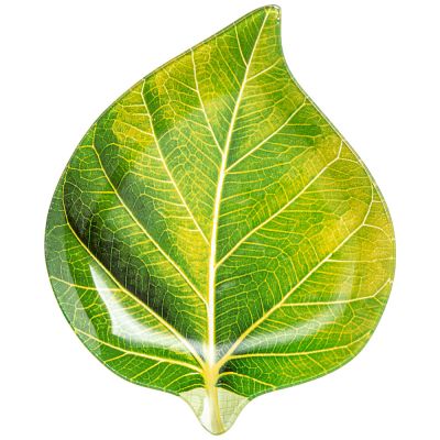 БЛЮДО СЕРВИРОВОЧНОЕ 20*16*2 СМ МАЛ. УП. = 6 ШТ. (МИН.ПАРТИЯ)-0