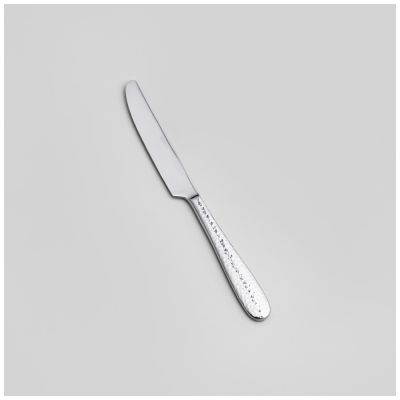 НАБОР СТОЛОВЫХ ПРИБОРОВ REGINA AGNESS 24 ПР., СТАЛЬ 18/10-3