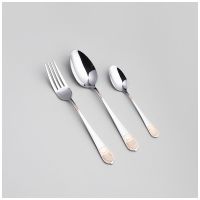 НАБОР СТОЛОВЫХ ПРИБОРОВ SOLE AGNESS 12 ПР., СТАЛЬ 18/0