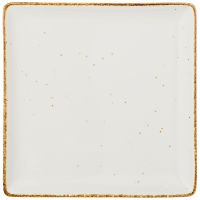 ТАРЕЛКА ОБЕДЕННАЯ КВАДРАТНАЯ 