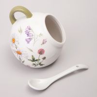 СОЛОНКА С ЛОЖКОЙ AGNESS 