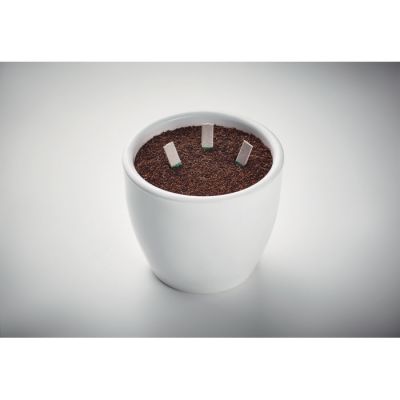 Набор для выращивания семян-5