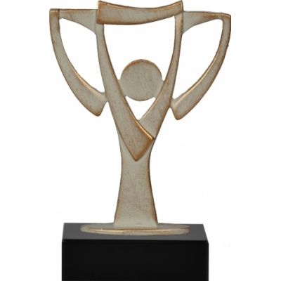 Награда YOUR CUP-0