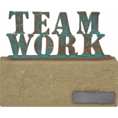 Награда TEAM WORK-0