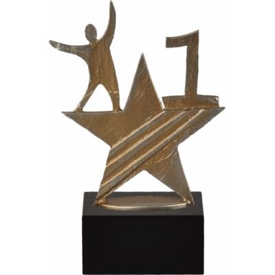 Трофей STAR №1-0