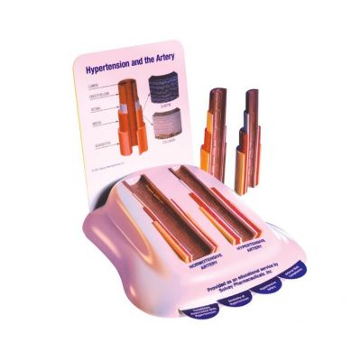 Модель артерий-0