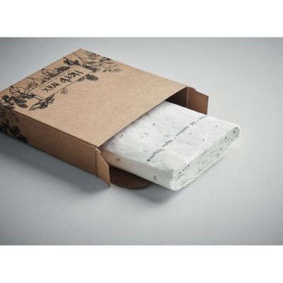 Набор для выращивания семян-3