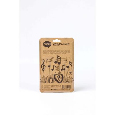 Шпажки для закусок и канапе Melodilicious-1