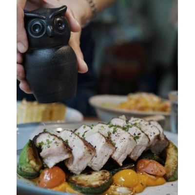 МЕЛЬНИЦА ДЛЯ СПЕЦИЙ Tasty Owl, чёрная-3