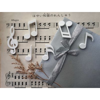 МАГНИТЫ MEMODY MAGNET (6 ШТ. / УПАК.), белые-3