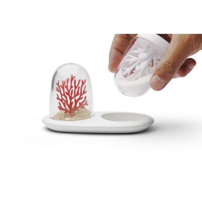 Солонка и перечница Coral Bleaching-1