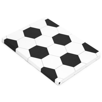 Записная книжка в клетку 15.5x21 Мяч R1-2440544-0