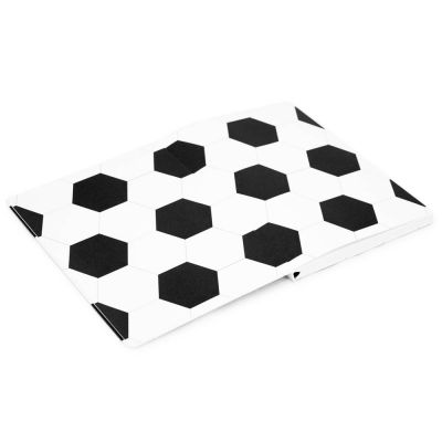 Записная книжка в клетку 15.5x21 Мяч R1-2440544-2