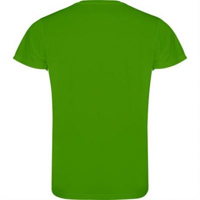 Спортивная футболка CAMIMERA мужская, ПАПАРОТНИКОВЫЙ 2XL-1