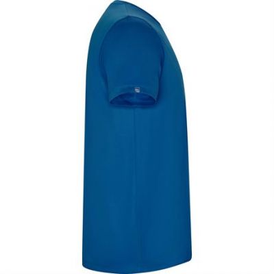 Спортивная футболка IMOLA мужская, КОРОЛЕВСКИЙ СИНИЙ 2XL-3