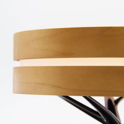 Интерьерная лампа с колонкой и беспроводной зарядкой Aronda-5