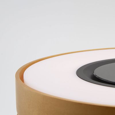 Интерьерная лампа с колонкой и беспроводной зарядкой Aronda-6