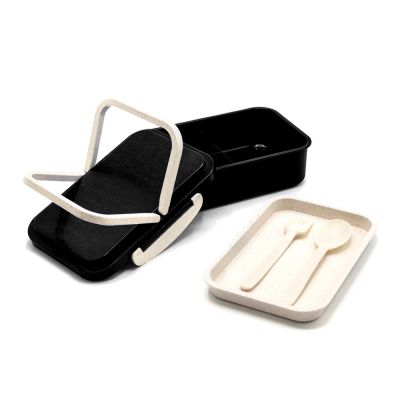 Ланчбокс (контейнер для еды) Inar, черный-1