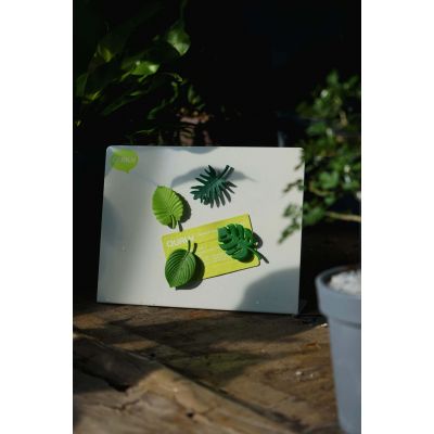 Набор магнитов Тропики-2