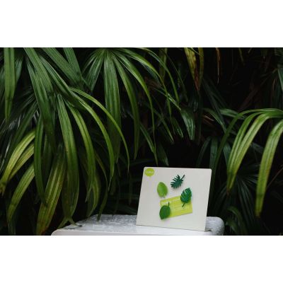 Набор магнитов Тропики-1