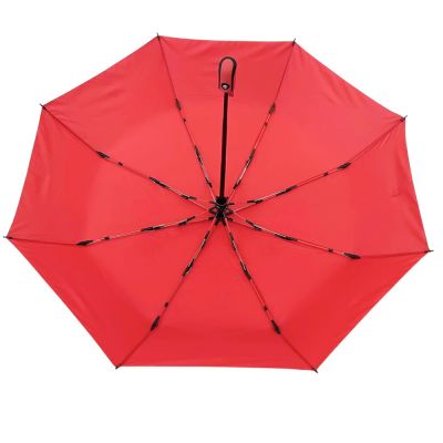Автоматический противоштормовой зонт Dakota, красный-1
