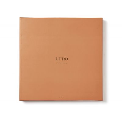 Настольная игра VINGA Ludo-1