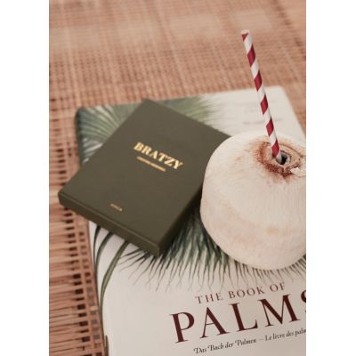 Настольная игра VINGA Bratzy-9