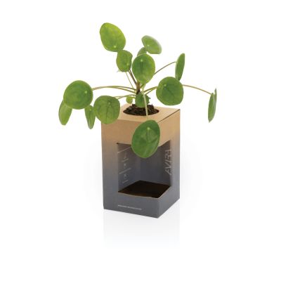 Термокружка Avira Alya из переработанной нержавеющей стали RCS, 300 мл-14