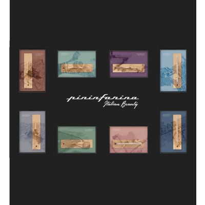 Шариковая ручка Pininfarina Cambiano FIRENZE-8