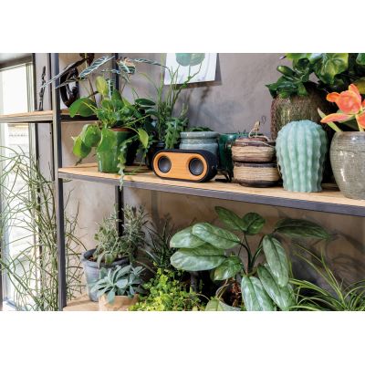 Колонка с двумя динамиками Bamboo X-7