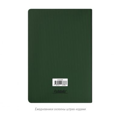 Ежедневник Rain недатированный, зеленый-14