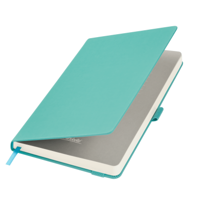 Ежедневник Alpha недатированный, бирюзовый/серый-0