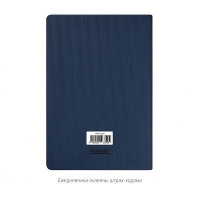 Ежедневник Rain недатированный, синий-9